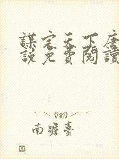 谋定天下唐诚小说免费阅读