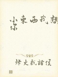 小东西我想弄坏你