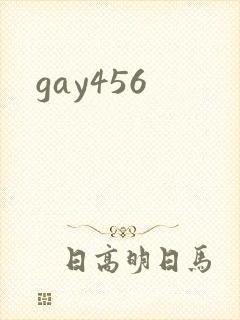 gay456封面