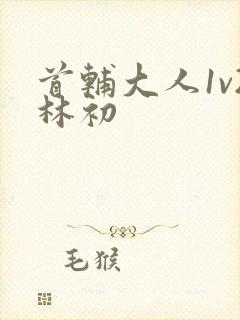 首辅大人1v2林初封面