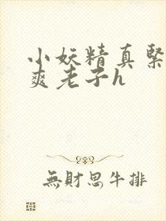 小妖精真紧h嘶爽老子h封面