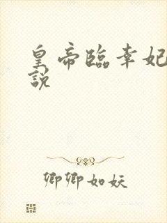 皇帝临幸妃子小说