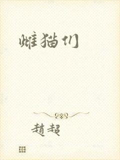 雌猫们