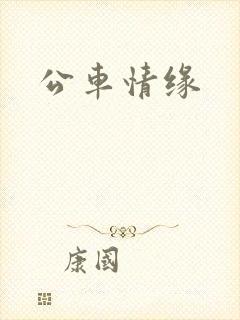 公车情缘