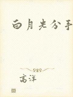 白月光分手日常