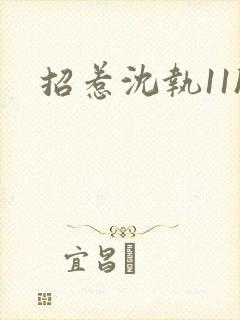 招惹沈执11h封面