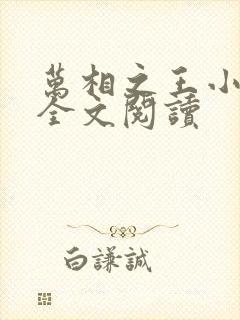 万相之王小说读全文阅读封面