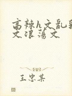 高辣h文乱乳h文浪荡文