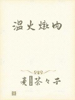温火炖肉封面