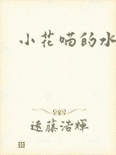 小花喵的水蜜桃