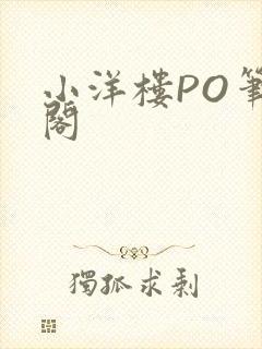 小洋楼PO笔趣阁