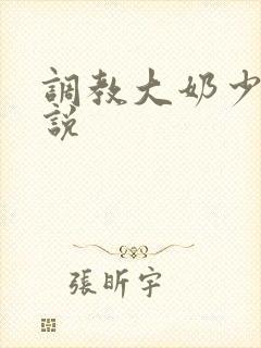 调教大奶少妇小说封面