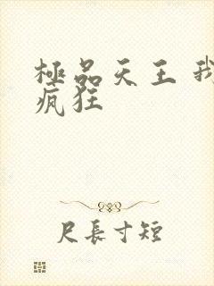 极品天王 我本疯狂