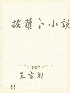 拔萝卜小说封面