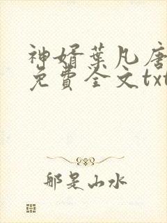 神婿叶凡唐若雪免费全文txt