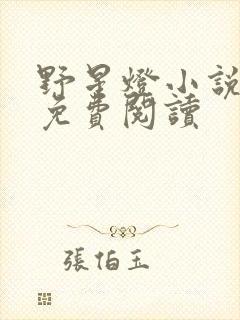 野星灯小说全文免费阅读