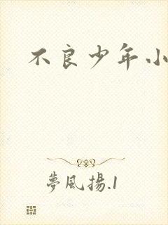 不良少年小说封面