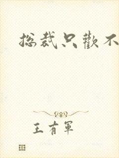 总裁只欢不爱封面