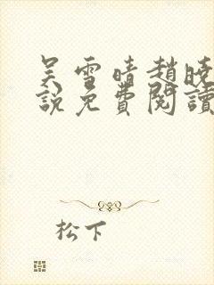 吴雪晴赵晓东小说免费阅读封面