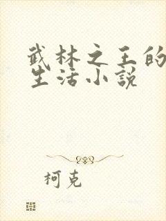 武林之王的退隐生活小说