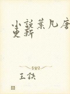 小说叶凡唐若雪更新