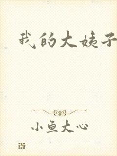 我的大姨子