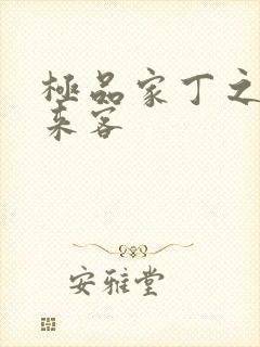 极品家丁之远方来客封面