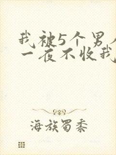 我被5个男人躁一夜不收我怎么办封面