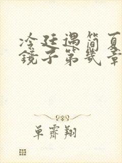 冷廷遇简夏对着镜子第几章封面