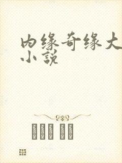 内缘奇缘大团圆小说