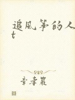 追风筝的人txt