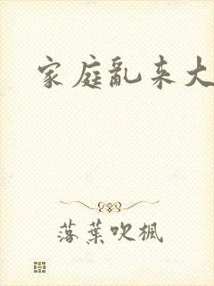 家庭乱来大杂烩封面