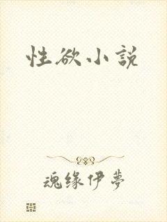 性欲小说