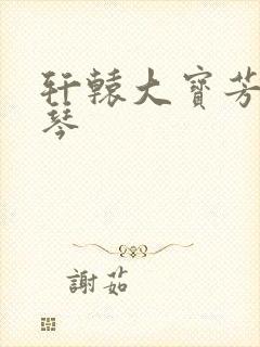 轩辕大宝芳菲雅琴