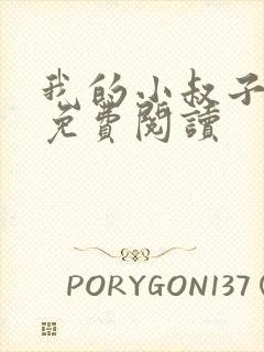 我的小叔子小说免费阅读