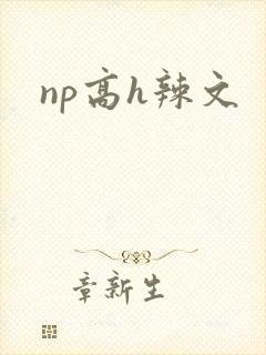 np高h辣文