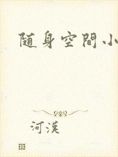 随身空间小说封面