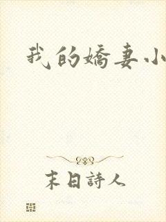 我的娇妻小说