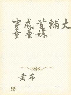 穿成首辅大人的童养媳