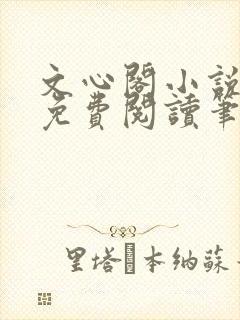 文心阁小说全文免费阅读笔趣阁