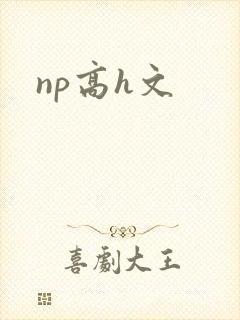 np高h文封面