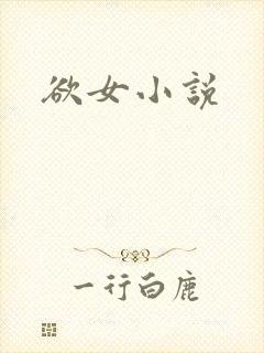 欲女小说封面