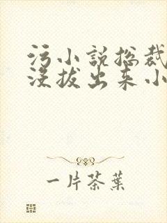 污小说总裁整夜没拔出来小说在线阅读