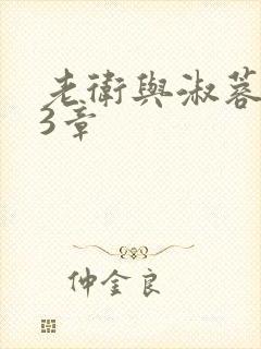 老卫与淑蓉第13章