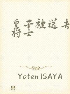 皇子被送去犒劳将士封面