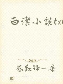 白洁小说txt