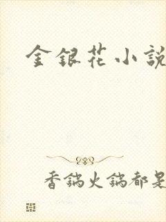 金银花小说乐可