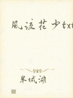 风流花少txt