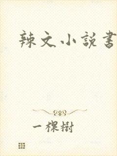 辣文小说书包网封面