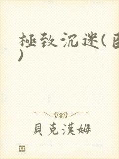 极致沉迷(臣年)封面